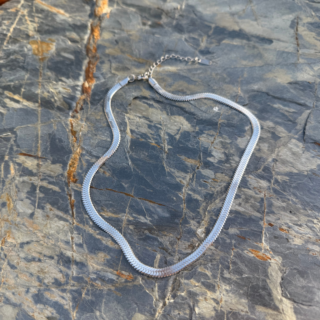 Silver Snake
