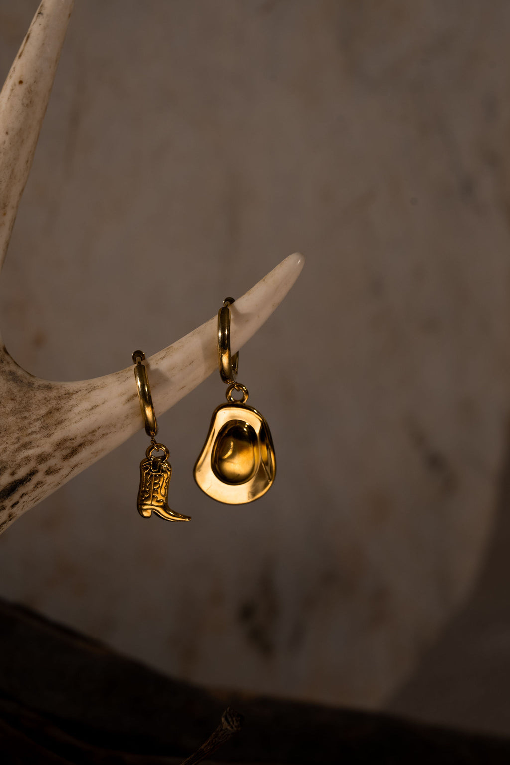 Rodeo Seeker Earrings