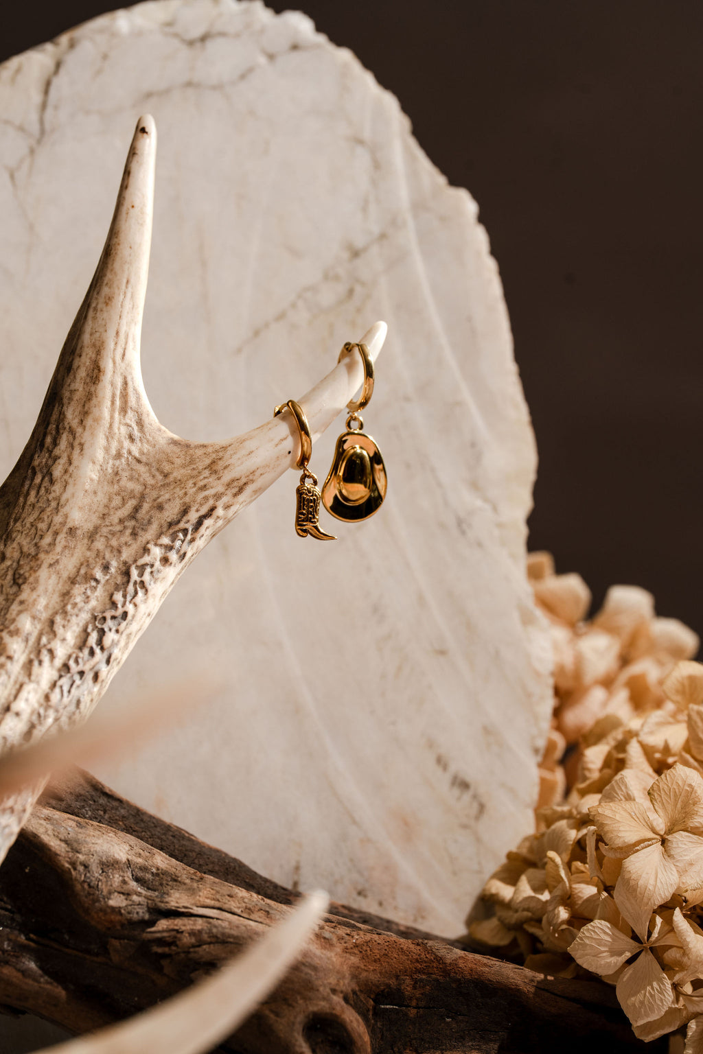 Rodeo Seeker Earrings